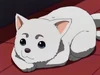 Sadaharu flop