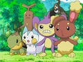 EP522 Presenciando el combate entre Chimchar y Piplup.png