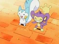 EP523 Pachirisu y Aipom.png