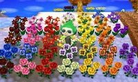 All Flowers