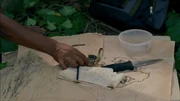 Rousseau'sMapNortheast1x13