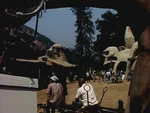 Fox Ranch8