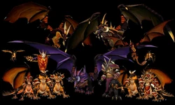 Blackdragonflight