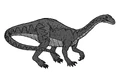 Massospondylus 738499.JPG