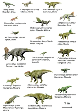Ceratopsia