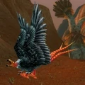 Starving Buzzard.jpg