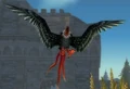 Young Mesa Buzzard.jpg