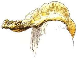 Armored eel.jpg