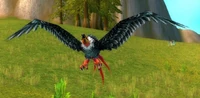Taloned Swoop