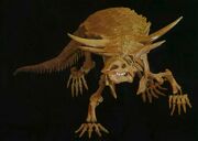 Desmatosuchus, PFNP