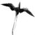 Confuciusornis.jpg