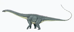 Diplodocus carng1DB.jpg