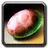 Inv egg 07