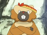 EP526 Bibarel