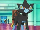 Luxray de Marble