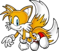 Tails pose 40