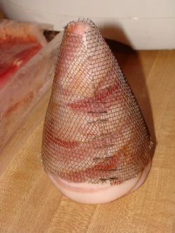 Bacone08
