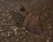 Anub'et'kan's Carapace.jpg