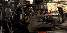 Council utapau1