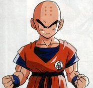 Krillin2