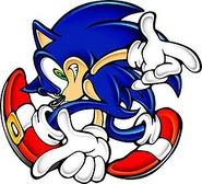 Sonic 12