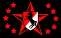 Blackhorse flag.jpg