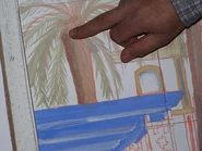 Pisana12