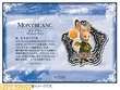 Montblanc ffxii pin card