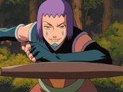 Ruiga