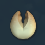 Maxilar.png