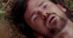 5x14 Faradead