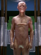 Lal-Rohling