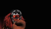 Muppets-com104