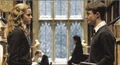 Harry and Hermione.jpg
