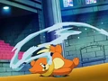 Buizel water gun.jpg