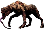 SnifferDogFemale