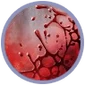 BloodWarriorButton