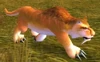 Flatland Cougar