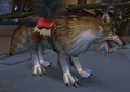 Brown Wolf.jpg