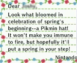 The Letter for the Red Pikmin Hat