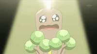 EP594 Sudowoodo usando llanto falso