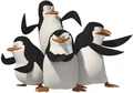 Madagascar-penguins.jpg
