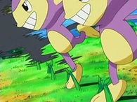 EP506 Aipom a punto de tropezar con hierba lazo