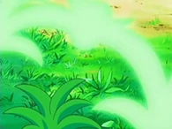 EP506 Hierba lazo anuda las hierbas