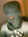 Ellorrs Madak.JPG