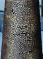 Terra craquelada.jpg