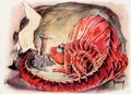 Akk dog TCWCG.jpg