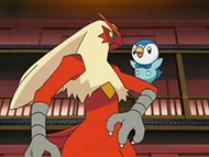 EP545 Blaziken con Piplup