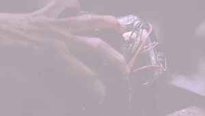 5x16 CutToWhite.jpg