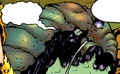 Chog.jpg